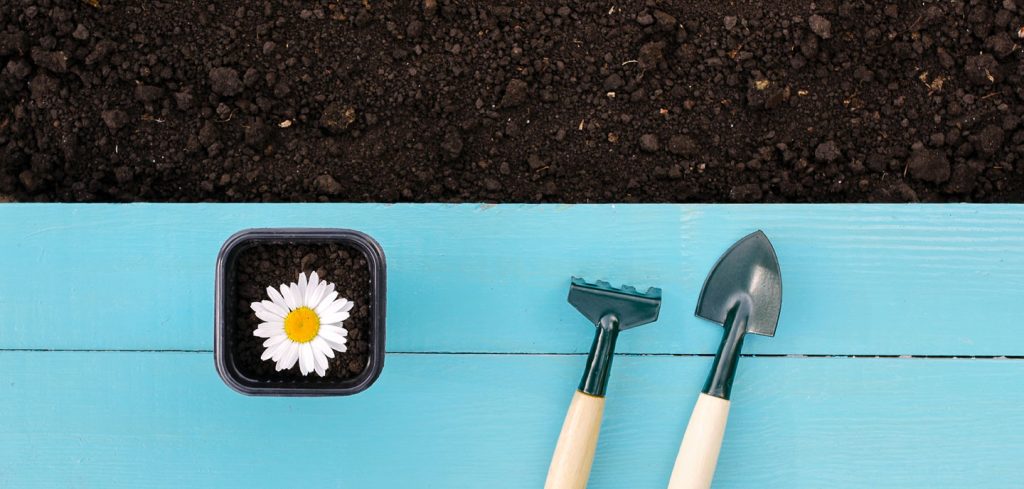 Planting flower